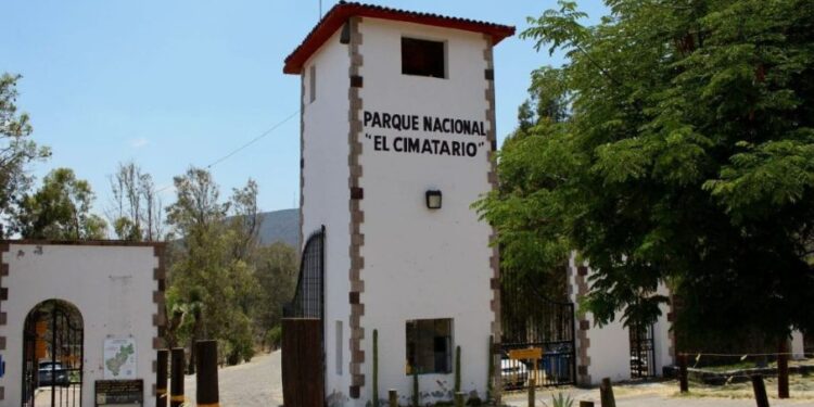 Día del Niño en el Parque Nacional El Cimatario: mascotas, talleres y adopciones
